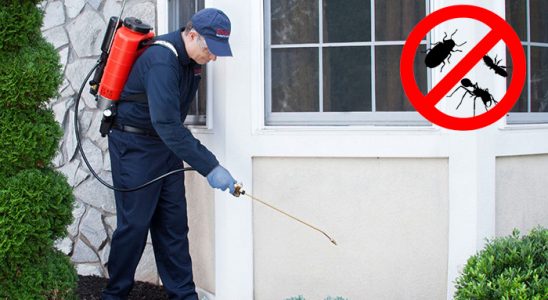 Günyüzü Fare İlaçlama böcek ilaçlama ve haşere kontrolü — ilaclama-tr.com